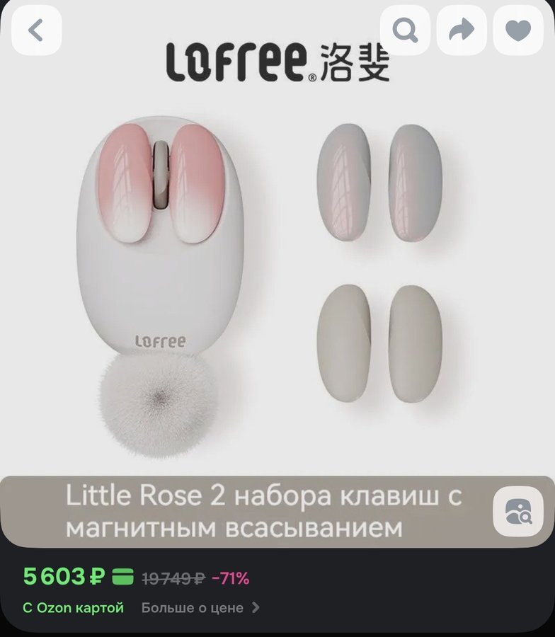 Мышь беспроводная Лофри